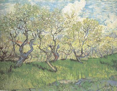 Vincent Van Gogh Orchard in Blossom (nn04) Germany oil painting art